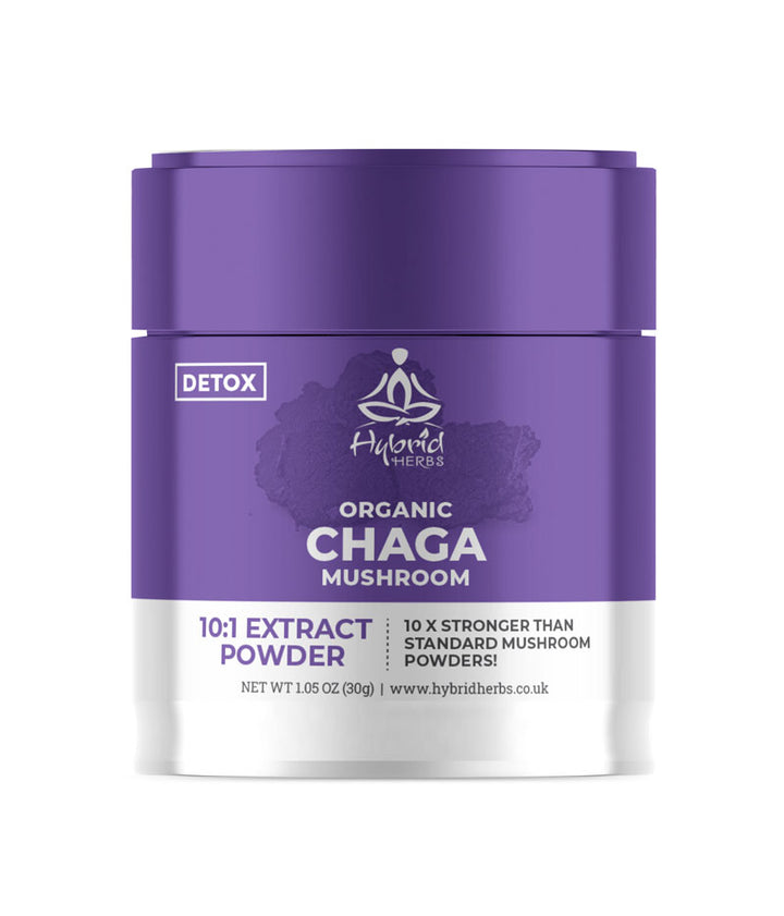 Organic Chaga Mushroom 10:1 Concentrated Extract Powder