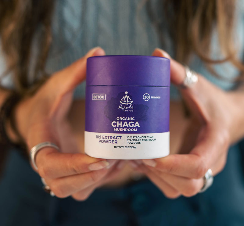 Organic Chaga Mushroom 10:1 Concentrated Extract Powder