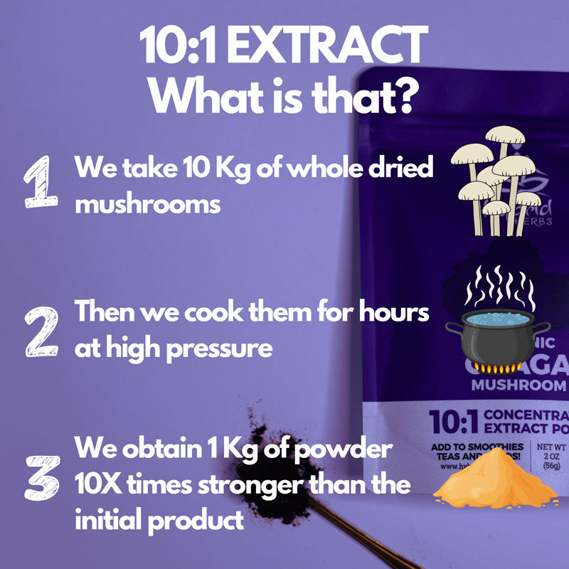 Organic Chaga Mushroom 10:1 Concentrated Extract Powder