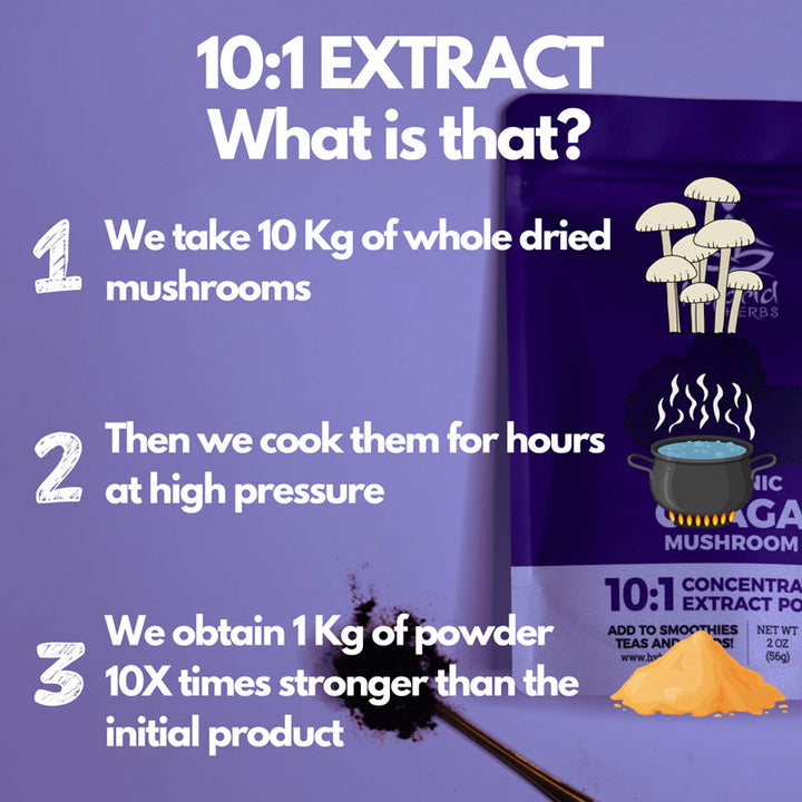 Organic Chaga Mushroom 10:1 Concentrated Extract Powder