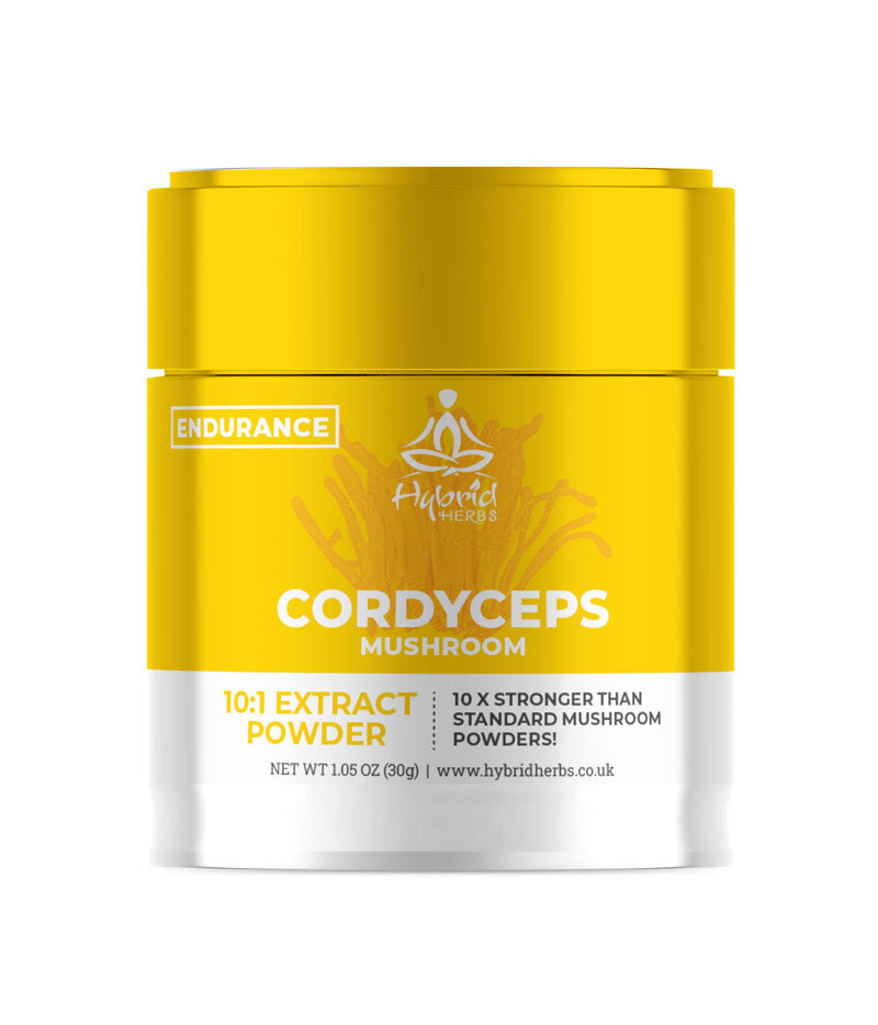 Cordyceps Mushroom 10:1 Concentrated Extract Powder