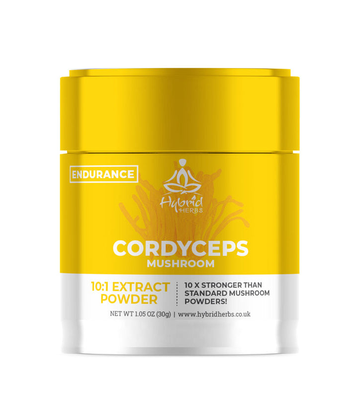 Cordyceps Mushroom 10:1 Concentrated Extract Powder