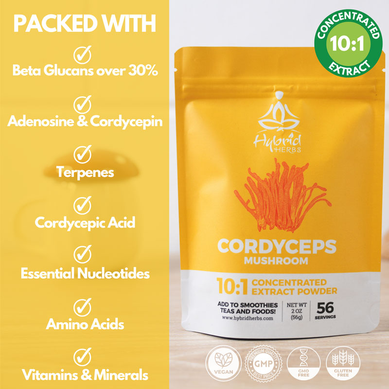 Cordyceps Mushroom 10:1 Concentrated Extract Powder