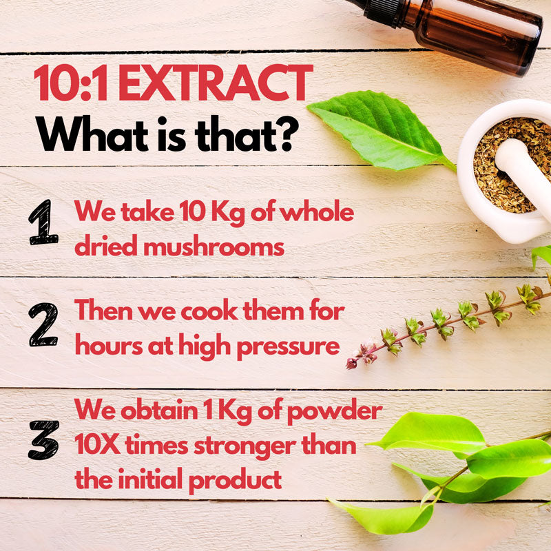 Organic Duanwood Reishi 10:1 Concentrated Extract Powder