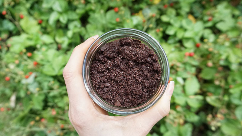 Raw Cacao Mushroom Crumble: