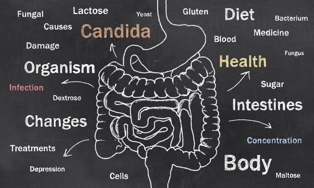 10 Simple Ways To Fight Candida Naturally