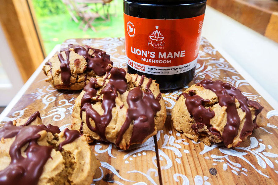Lions Mane Chocolate Cookies