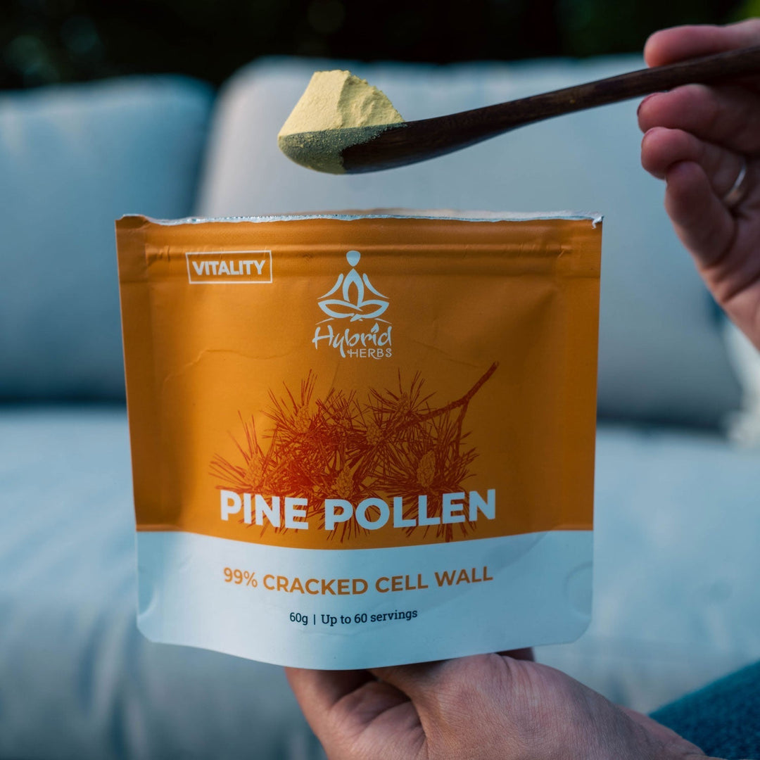 Pine Pollen: What It Is, Traditional Use & How It’s Collected