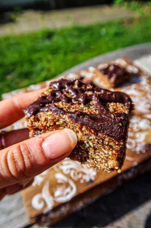 Raw Schizandra Berry Granola Bars