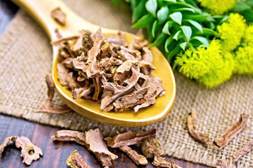 Rhodiola Rosea: A Guide to the Golden Root