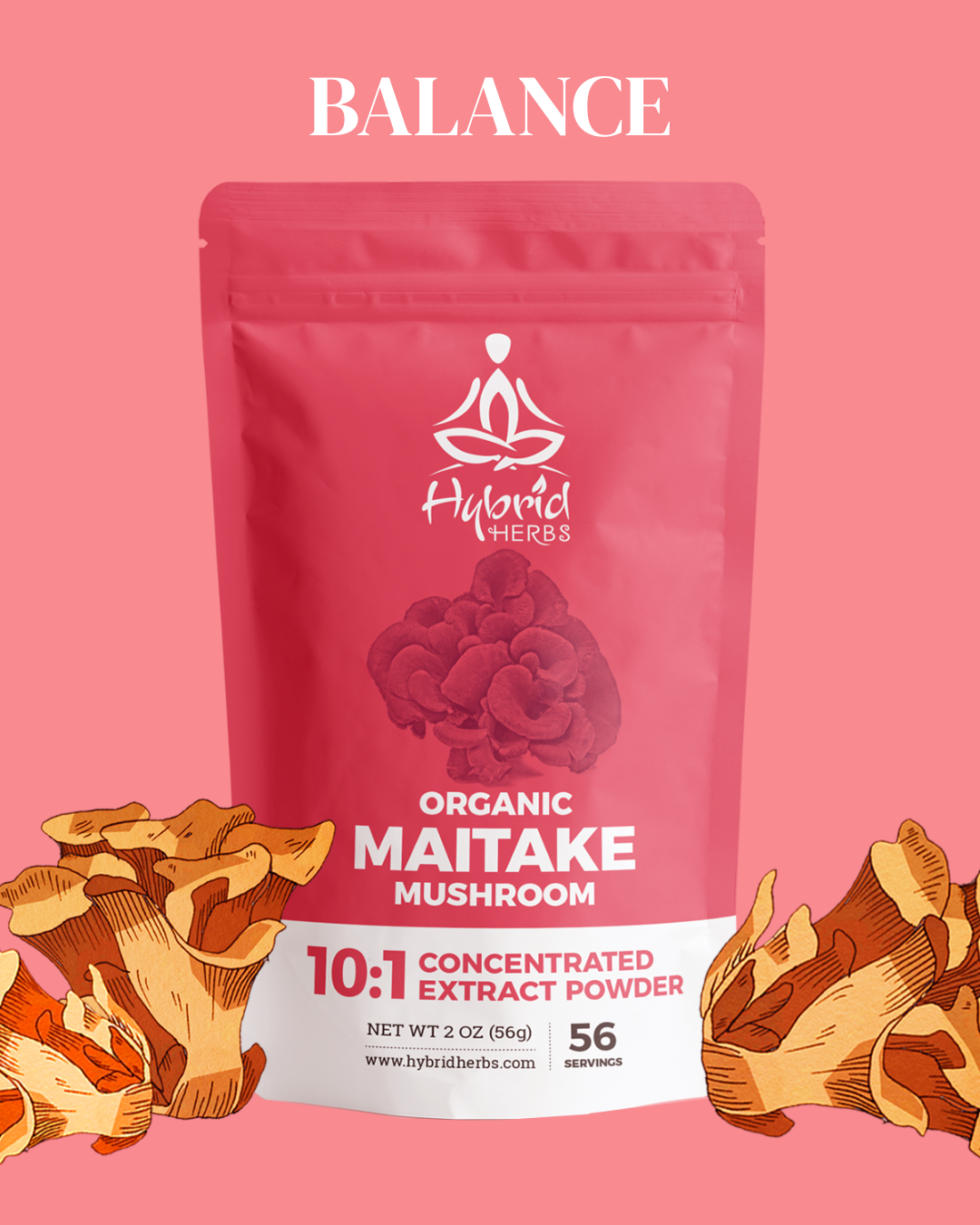 Organic Maitake Mushroom 10:1 Concentrated Extract Powder