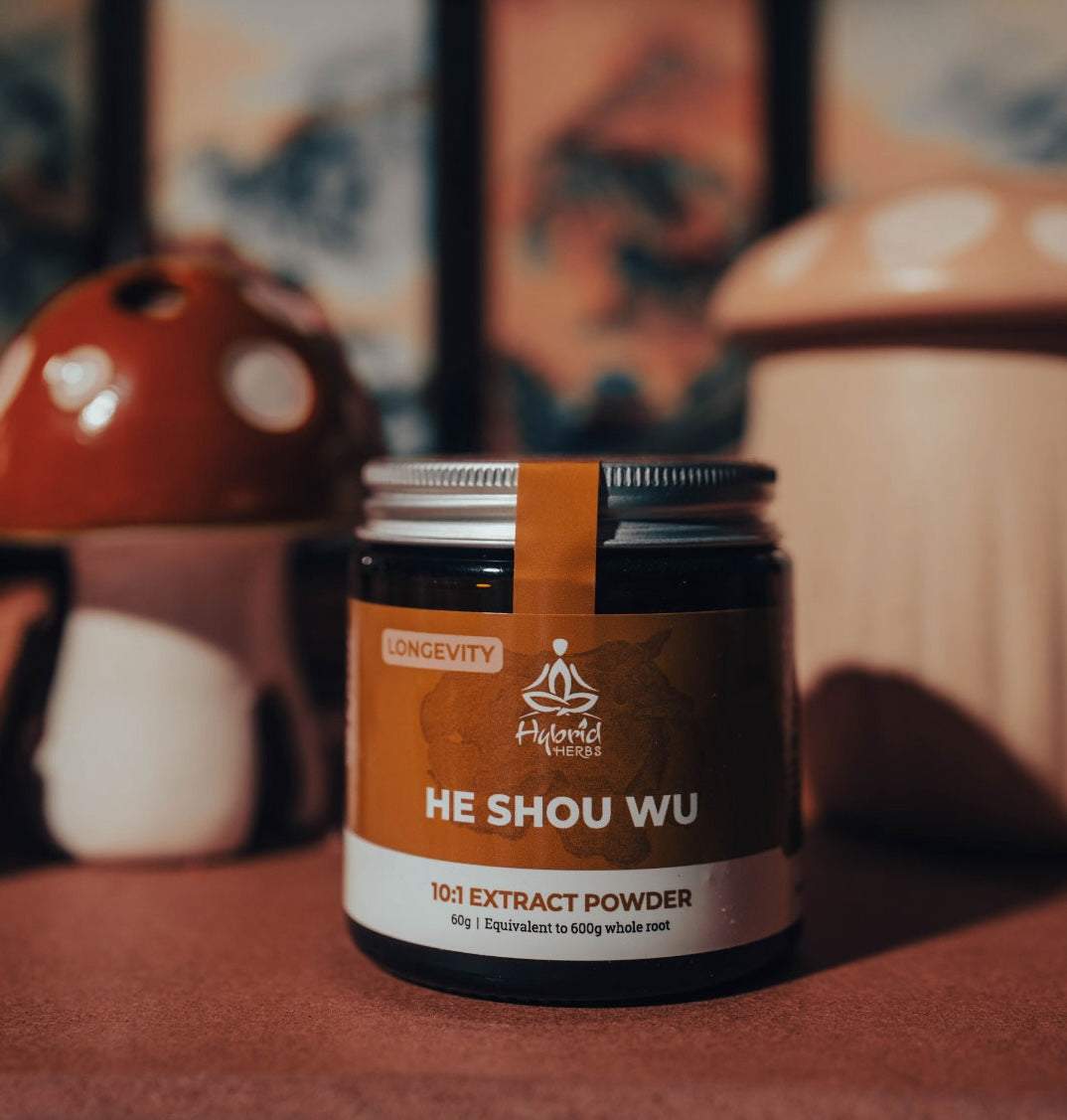 Explore Prepared He Shou Wu
