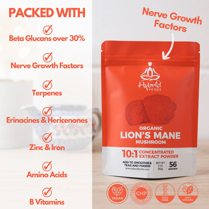 Organic Lions Mane Mushroom (Hericium Erinaceus) 10:1 concentrated extract powder
