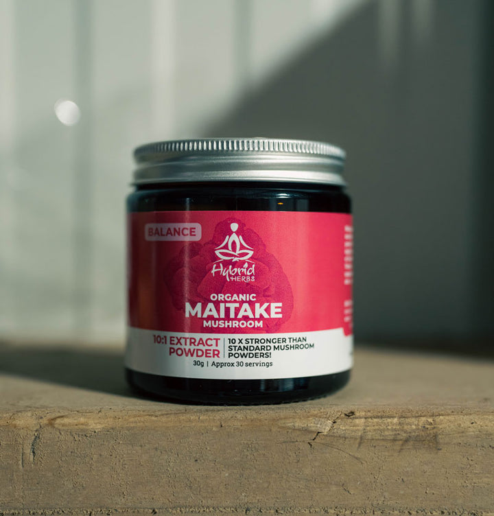 Organic Maitake Mushroom 10:1 Concentrated Extract Powder