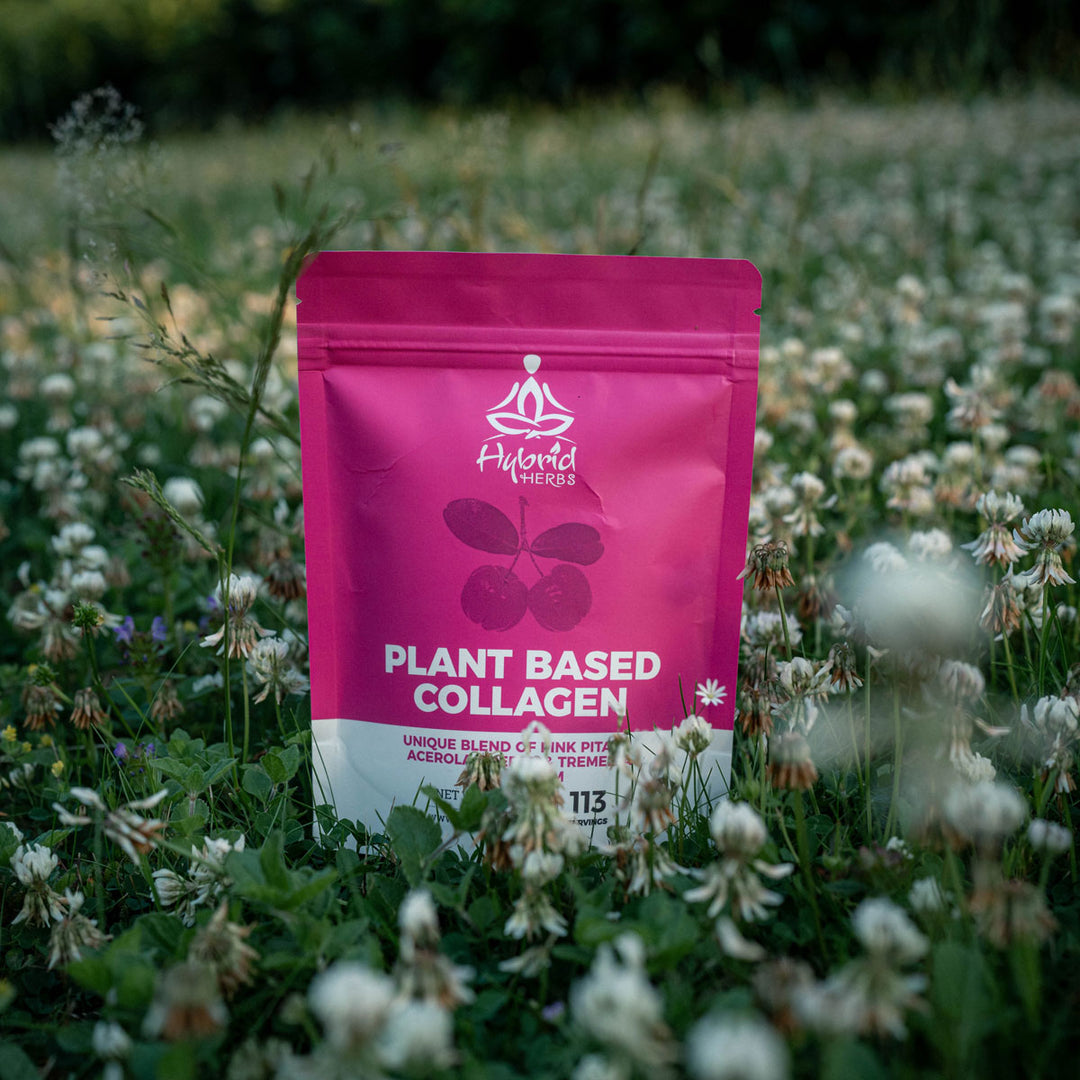 Plant-Based Collagen Powder